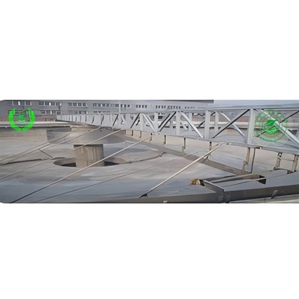 周邊傳動(dòng)刮泥機(jī)